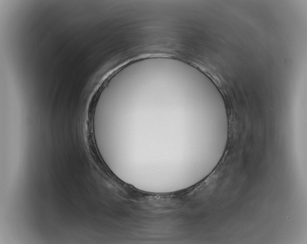 X0000114660338200910201025