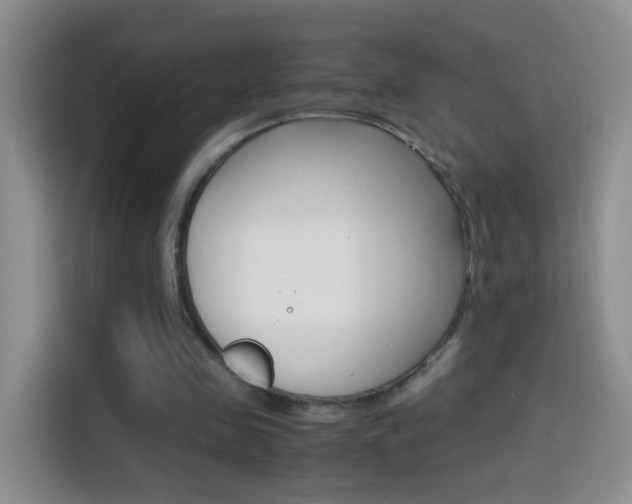X0000114660341200910201025