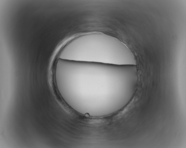 X0000114660342200910201025