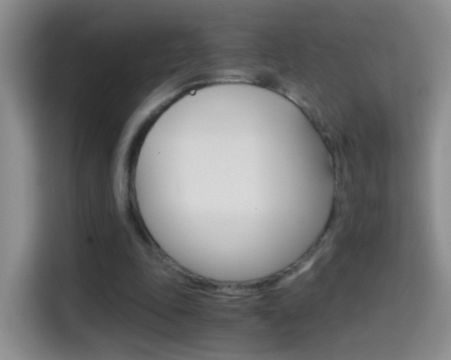 X0000114660343200910201025