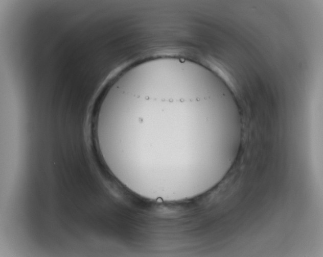 X0000114660346200910201025