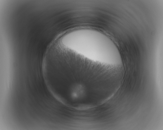 X0000114660347200910201025