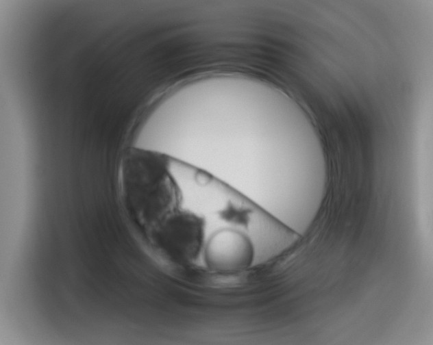 X0000114660349200910201025