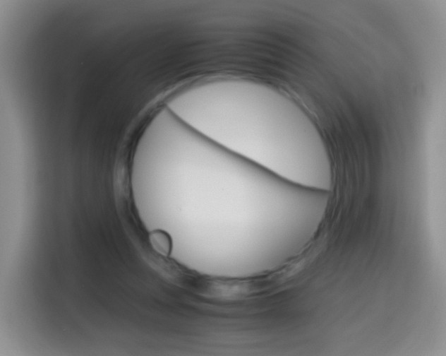 X0000114660351200910201025