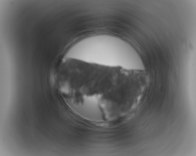 X0000114660355200910201025