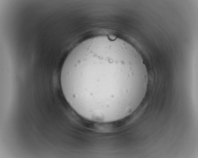 X0000114660359200910201025