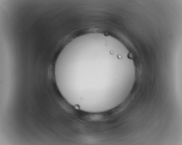 X0000114660361200910201025