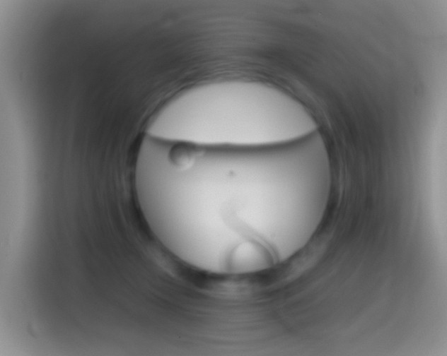 X0000114660366200910201025