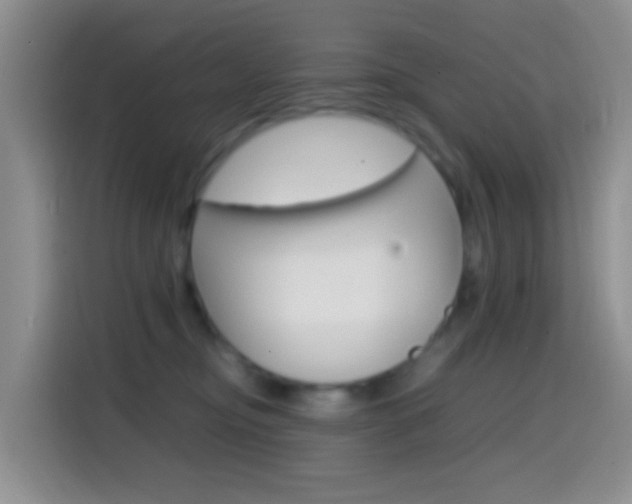 X0000114660374200910201025