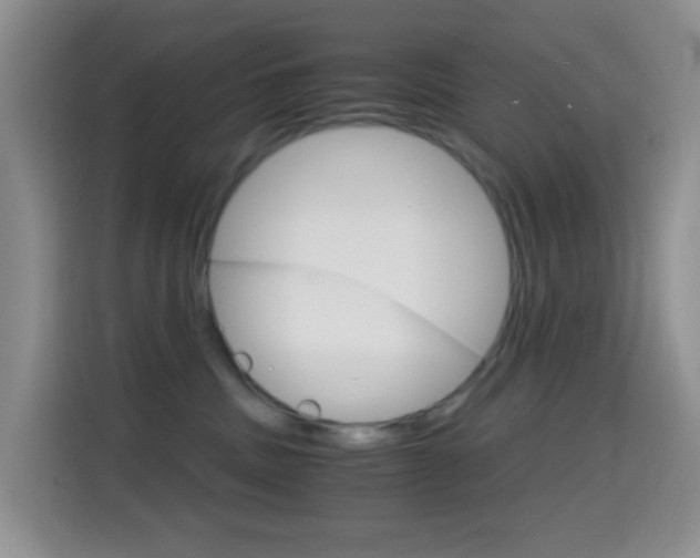 X0000114660379200910201026