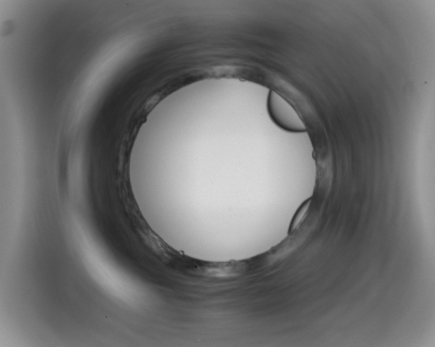 X0000114660381200910201026