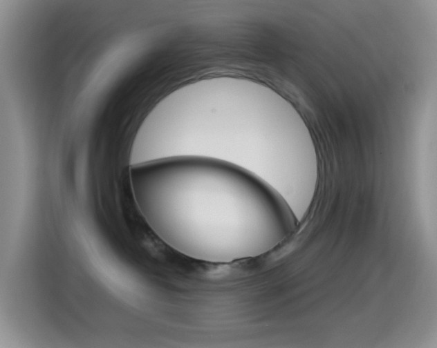 X0000114660382200910201026