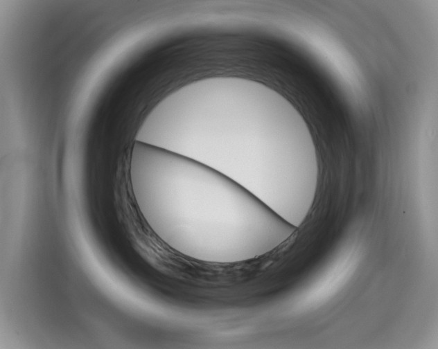 X0000114660383200910201026