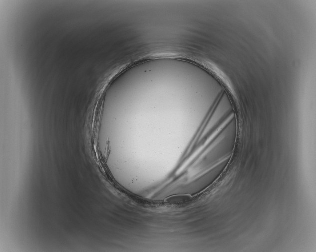 X0000114660385200910201025