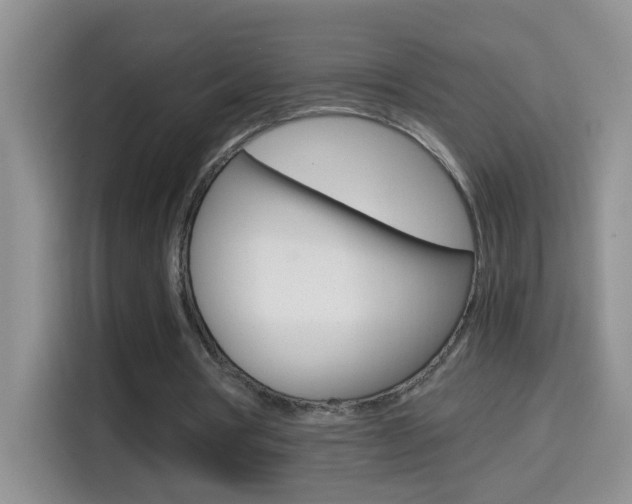 X0000114660386200910201025