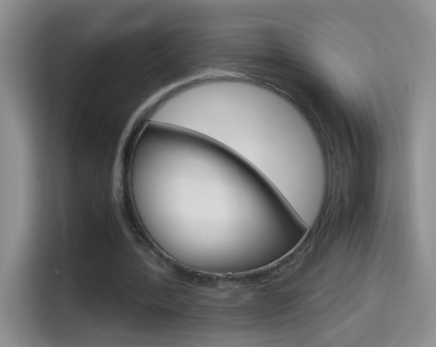X0000114660388200910201025