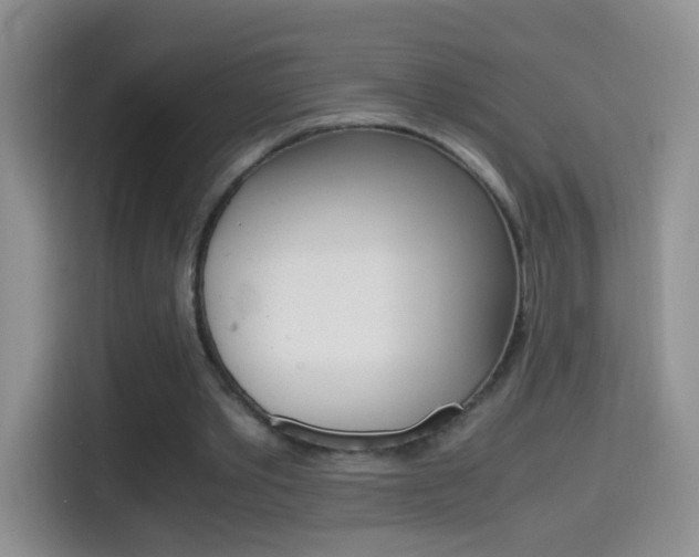 X0000114660389200910201025