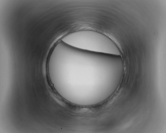 X0000114660390200910201025