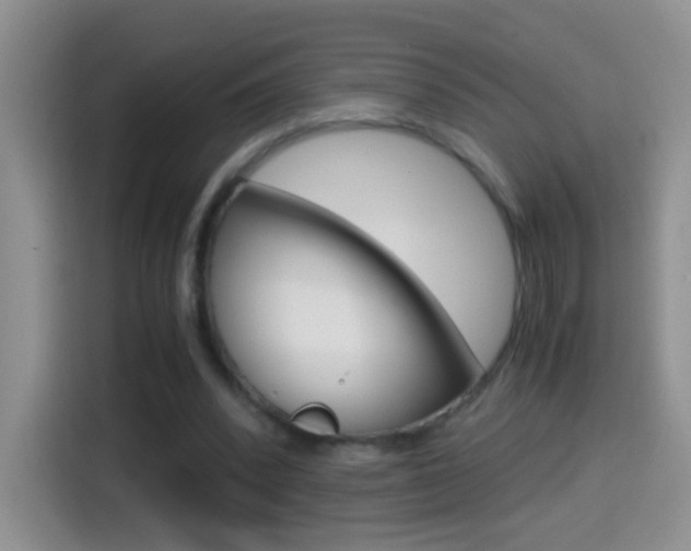 X0000114660392200910201025