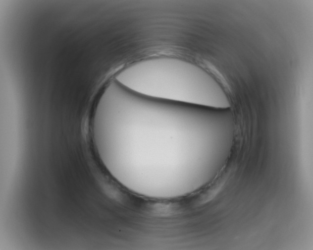 X0000114660394200910201025