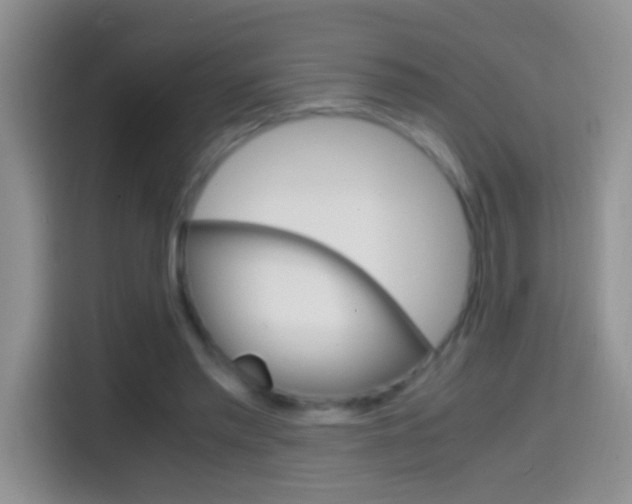X0000114660397200910201025