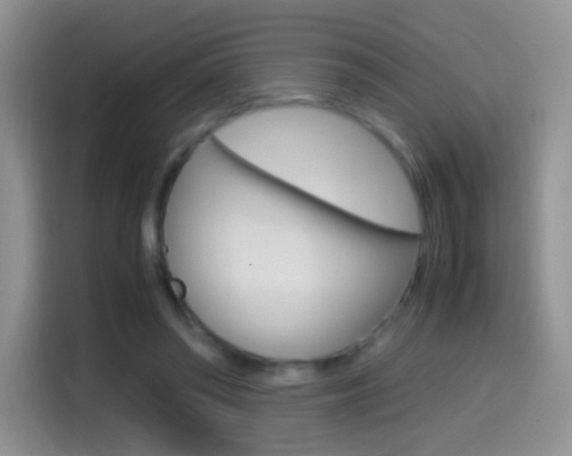 X0000114660398200910201025