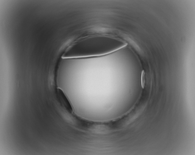 X0000114660399200910201025
