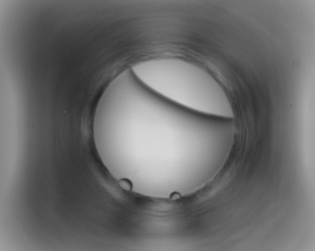 X0000114660402200910201025