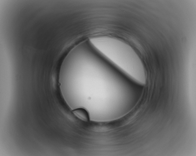X0000114660404200910201025