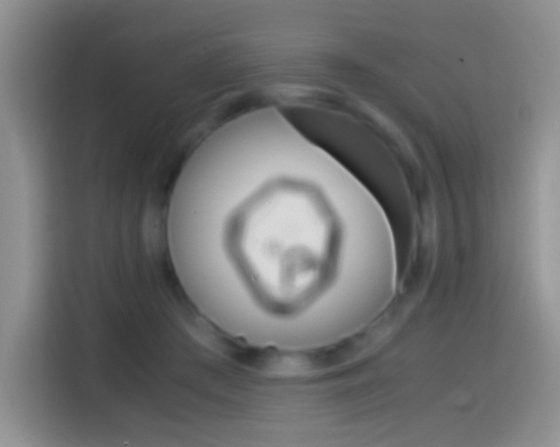 X0000114660409200910201025