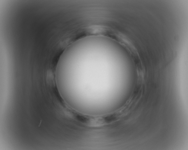 X0000114660415200910201025