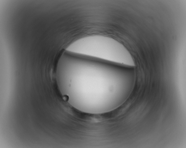 X0000114660420200910201024