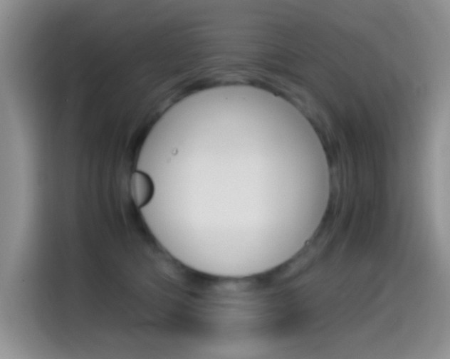 X0000114660422200910201024