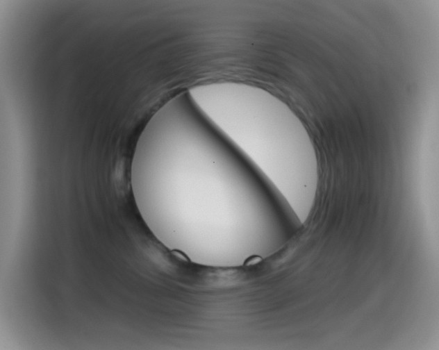 X0000114660428200910201024