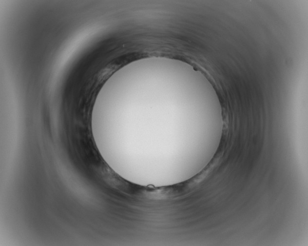 X0000114660430200910201024