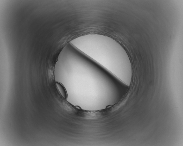 X0000114660432200910201024