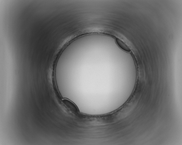 X0000114660434200910201024