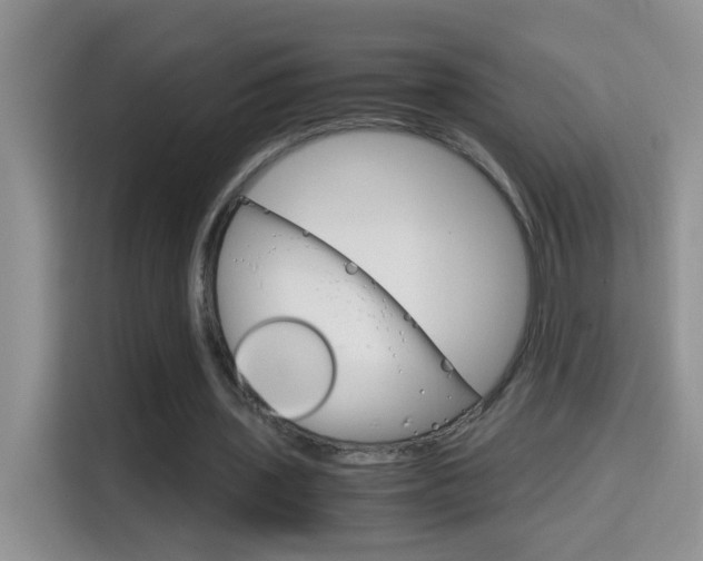 X0000114660435200910201024