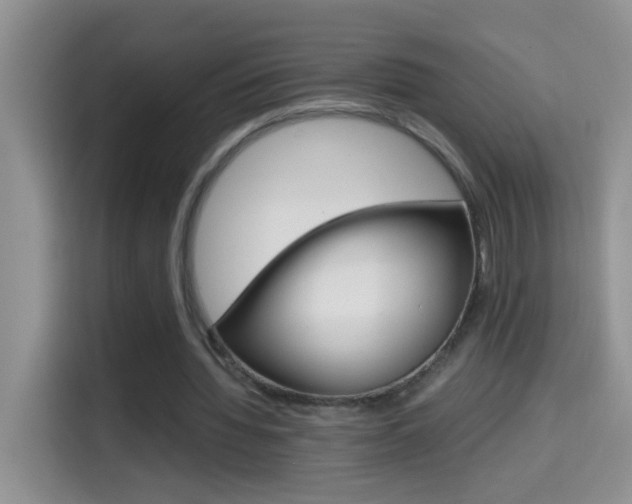 X0000114660436200910201024