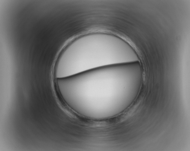 X0000114660438200910201024