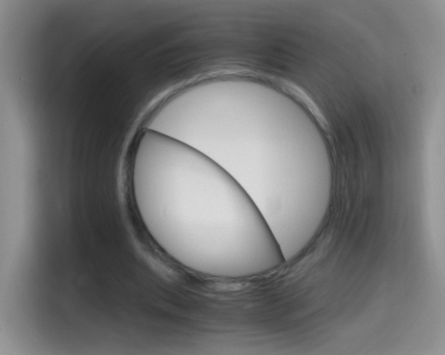 X0000114660439200910201024