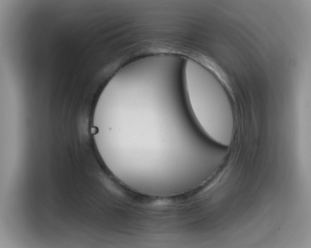 X0000114660441200910201024