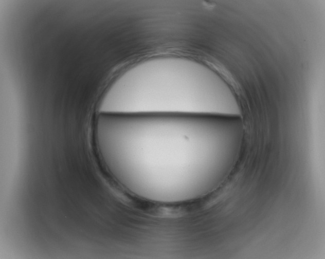 X0000114660442200910201024