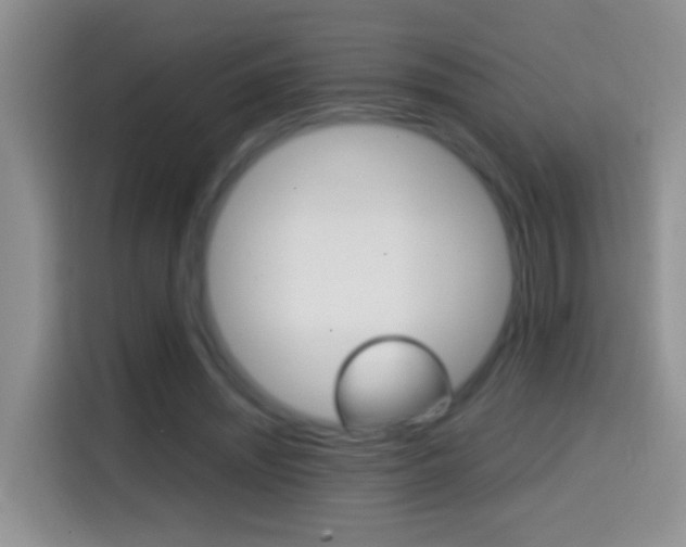 X0000114660444200910201024