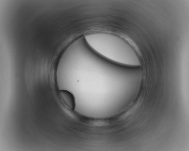 X0000114660445200910201024