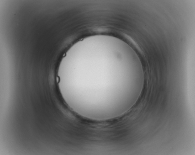 X0000114660447200910201024