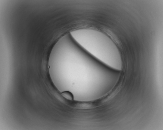 X0000114660449200910201024