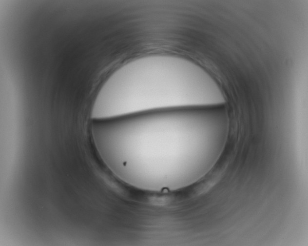 X0000114660450200910201024