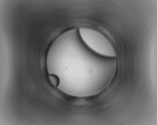 X0000114660451200910201024
