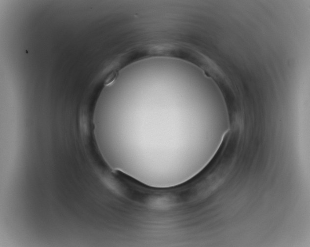X0000114660452200910201024